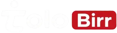 TOLOBIRR Logo